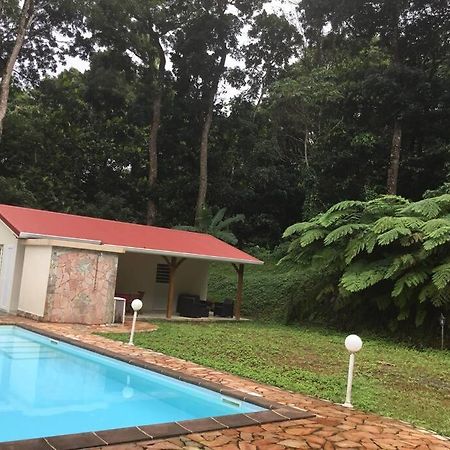 Les Lucioles 1 Beau T2 En Foret Tropicale Avec Acces Piscine Saint-Joseph 외부 사진