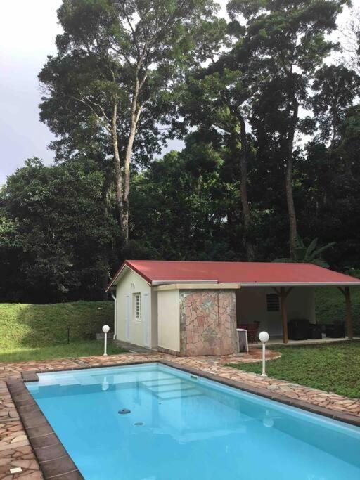 Les Lucioles 1 Beau T2 En Foret Tropicale Avec Acces Piscine Saint-Joseph 외부 사진