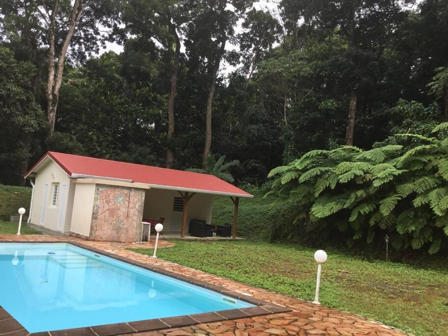Les Lucioles 1 Beau T2 En Foret Tropicale Avec Acces Piscine Saint-Joseph 외부 사진