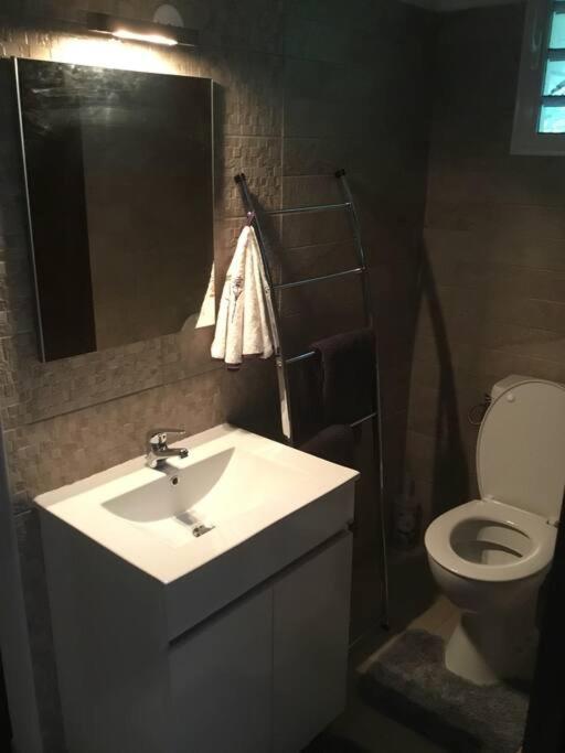 Les Lucioles 1 Beau T2 En Foret Tropicale Avec Acces Piscine Saint-Joseph 외부 사진