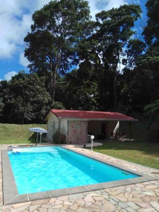 Les Lucioles 1 Beau T2 En Foret Tropicale Avec Acces Piscine Saint-Joseph 외부 사진